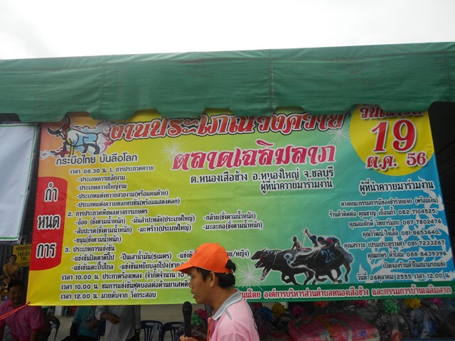 งานประเพณีวิ่งควายบ้านเฉลิมลาภ ม.5