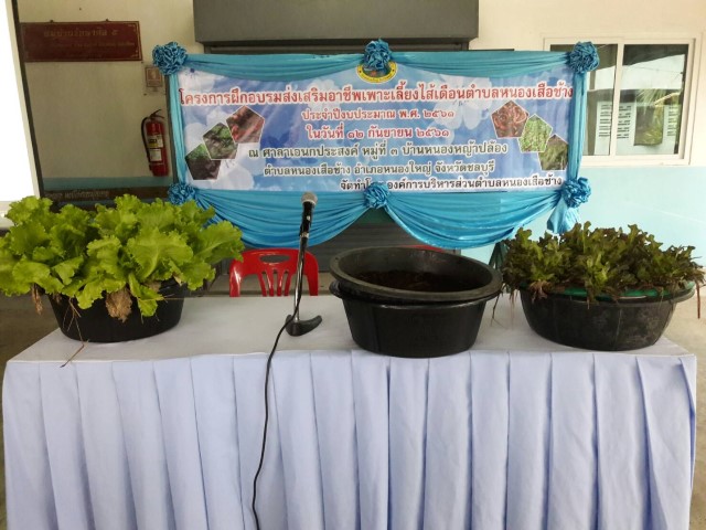 โครงการฝึกอบรมส่งเสริมอาชีพเพาะเลี้ยงไส้เดือนตำบลหนองเสือช้าง