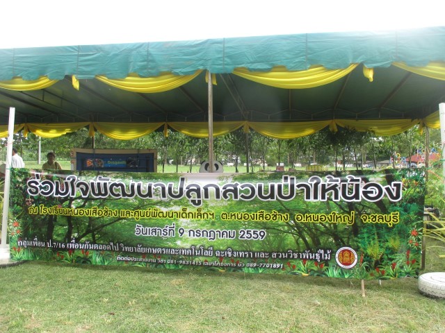 กิจกรรม "ร่วมใจพัฒนา ปลูกสวนป่าให้น้อง"
