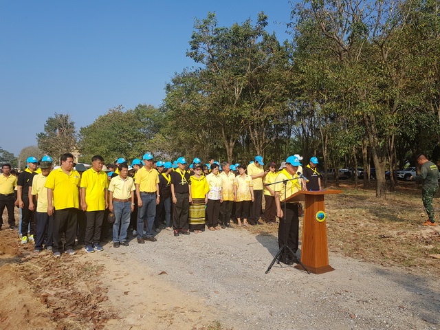 โครงการปลูกต้นทานตะวันเฉลิมพระเกียรติฯ