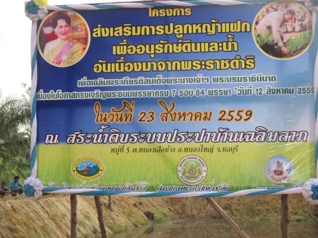 โครงการส่งเสริมการปลูกหญ้าแฝกเพื่ออนุรักษ์ดินและน้ำฯ