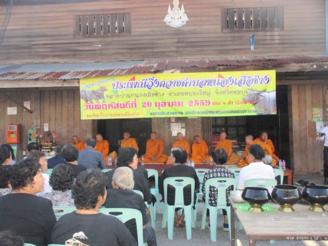 ประเพณีวิ่งควายตำบลหนองเสือช้าง ประจำปี พ.ศ.2559