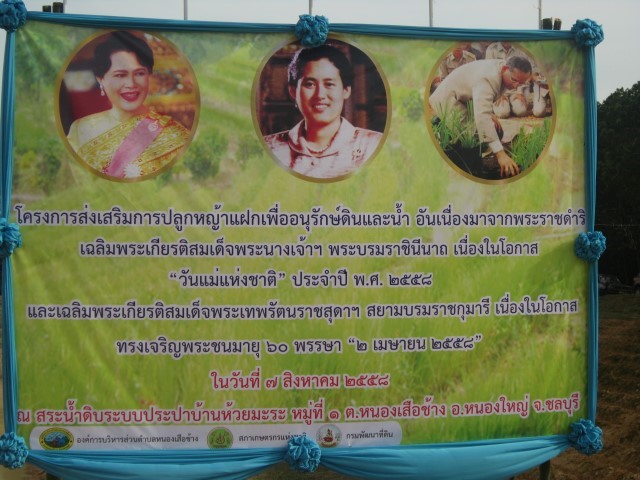 กิจกรรมปลูกหญ้าแฝก ประจำปี พ.ศ.2558