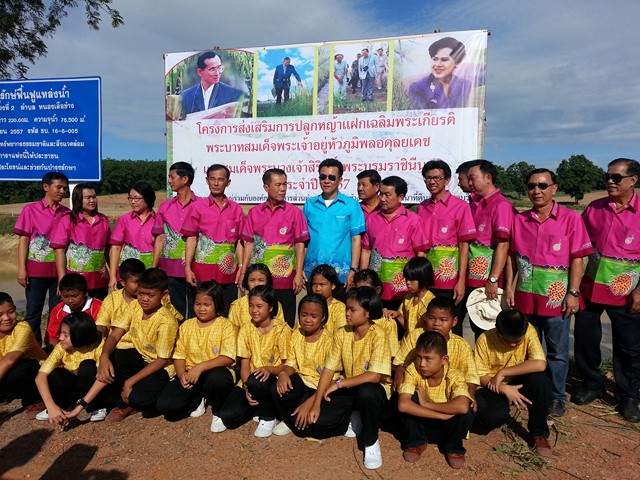 กิจกรรมปลูกหญ้าแฝกเฉลิมพระเกียรติฯ