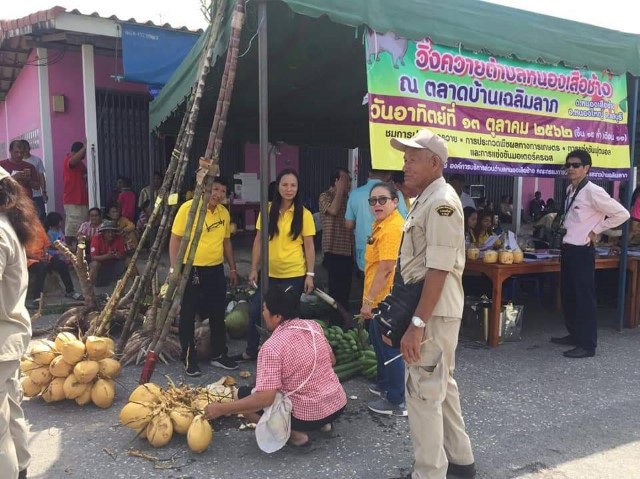 ประเพณีวิ่งควายตำบลหนองเสือช้าง ณ บ้านเฉลิมลาภ